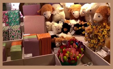 [VIETSUB][HOLLAND TV] EP1 HOLIDAY VLOG