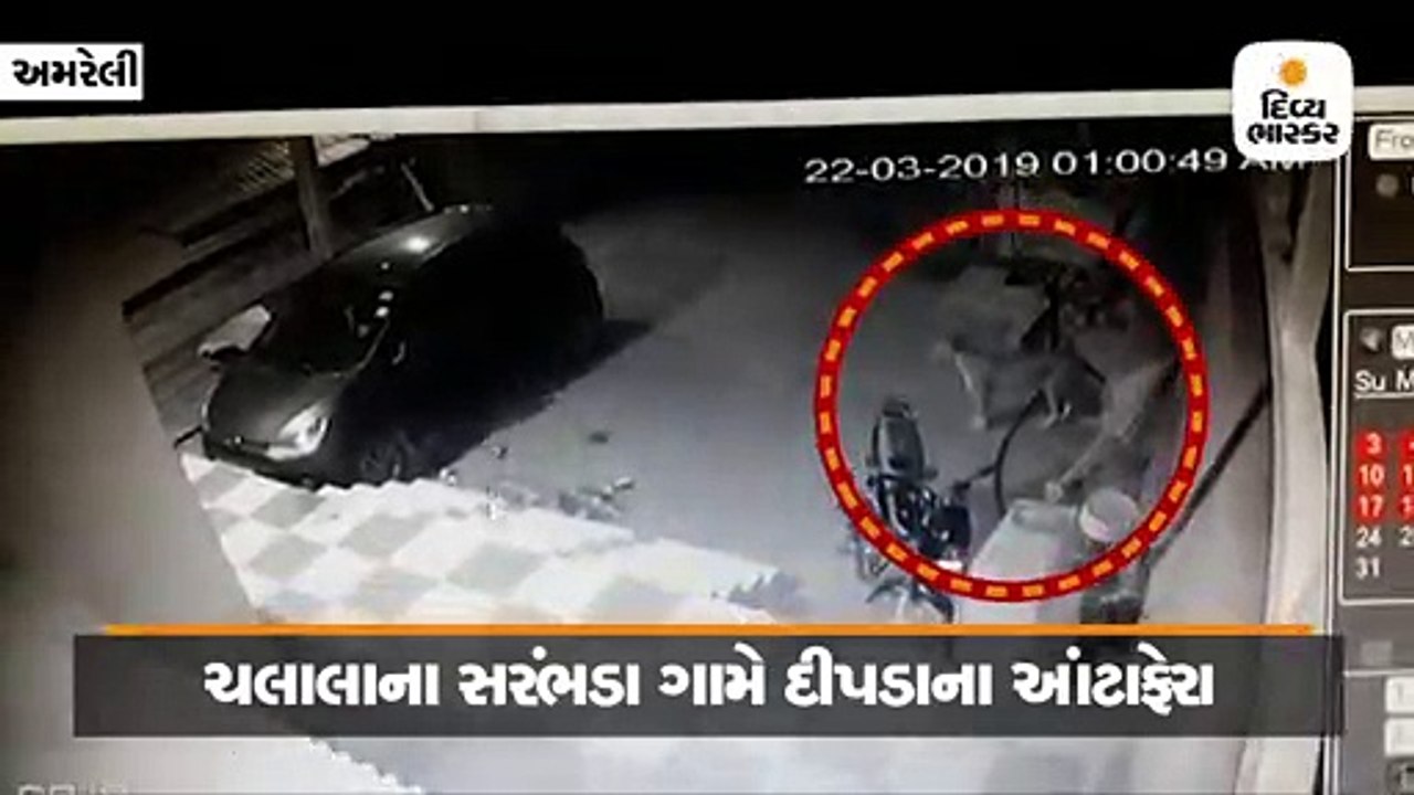 ચલાલાના સરંભડામાં સરપંચના ઘરે દીપડાએ ચોકીદારી ક...