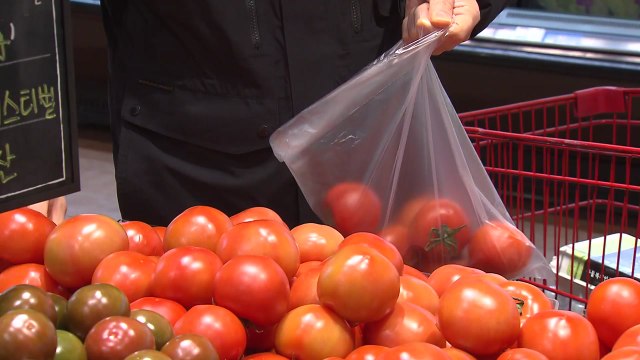 4월부터 일회용 봉투 사용 마트에 과태료 / YTN