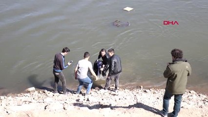 Edirne Fotoğraf Çektirirken, Meriç Nehri'ne Düştü