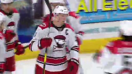 Sound Tigers vs. Charlotte Checkers | March 27, 2019 | Highlights