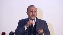 Çavuşoğlu: 
