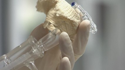 항암· 파킨슨병 완화 기능성 미생물 사업화 박차 / YTN