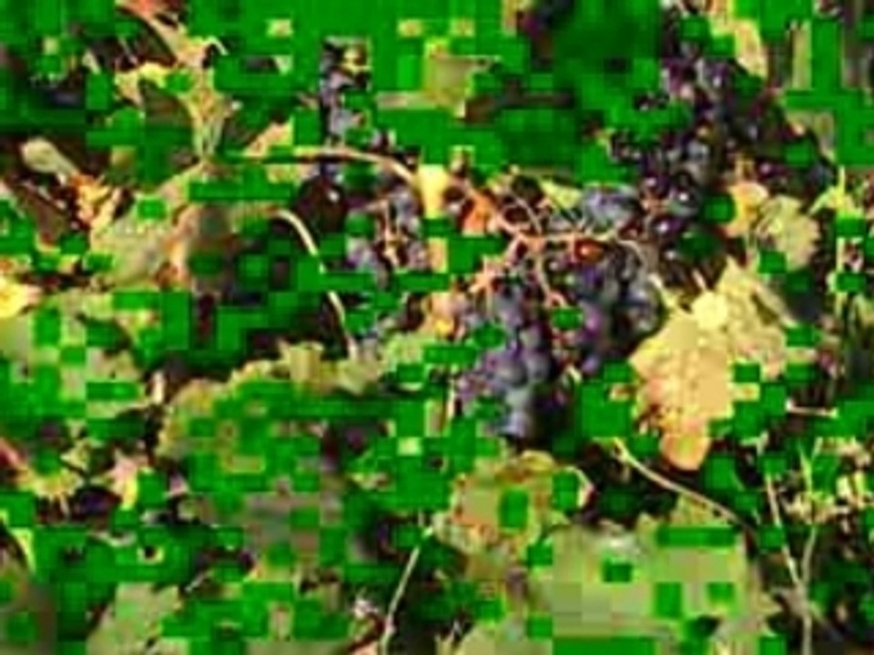 En Ré 2007
