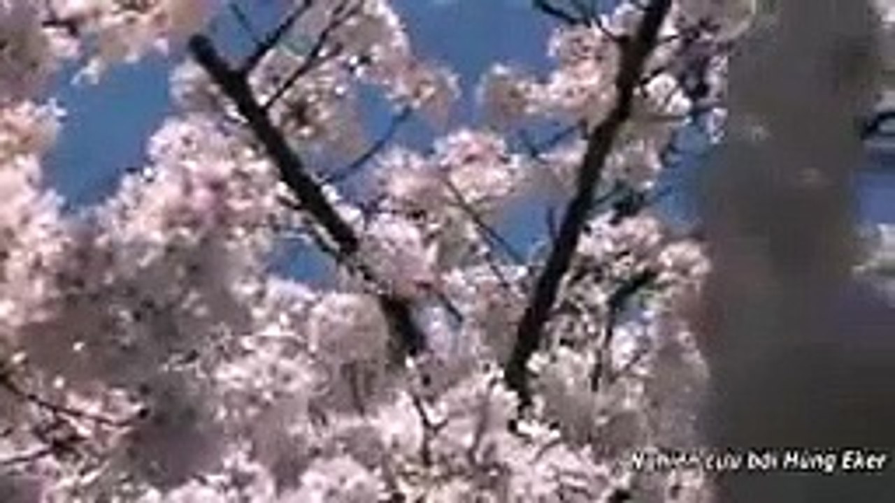 intro 568