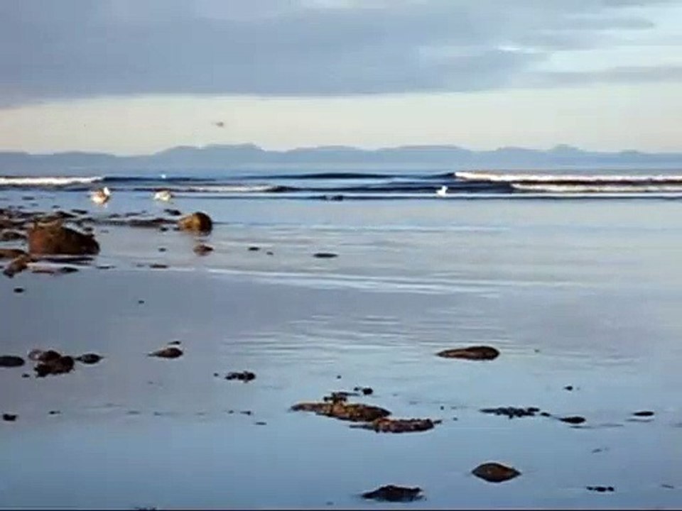 MUSIQUE de RELAXATION POUR les BÉBÉS que j' (30 minutes longue piste!) Aide Bébé à se Détendre & m'Endormir VITE!