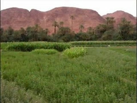 Video Hymne natiOnal du marOc!!! - hymne, national, marocain