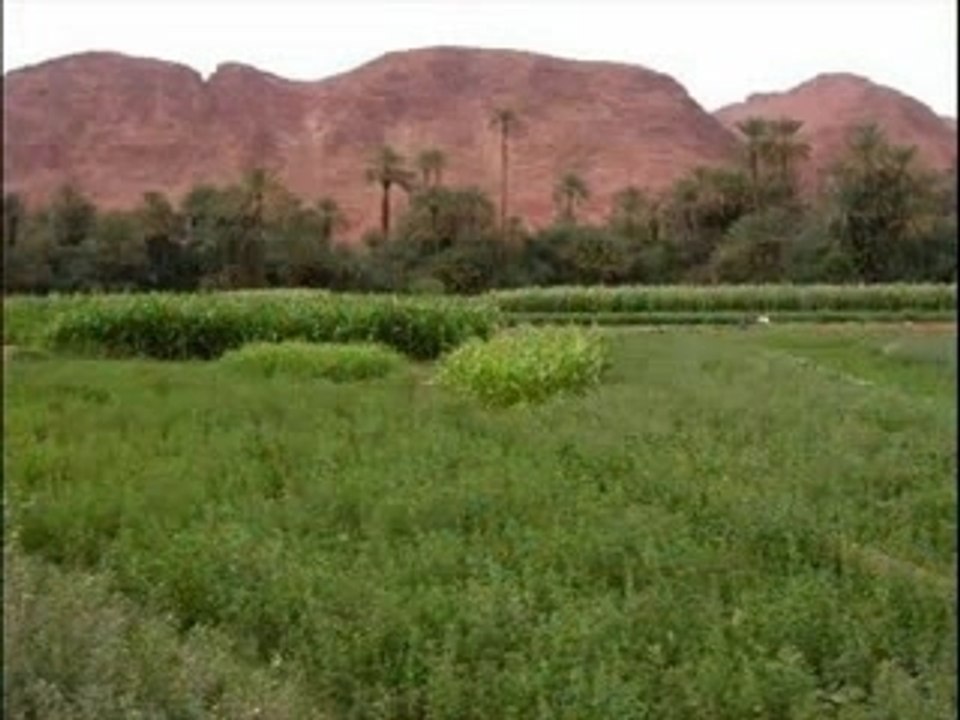 Video Hymne natiOnal du marOc!!! - hymne, national, marocain