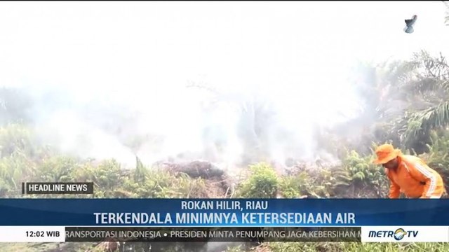 4 Kecamatan di Rokan Hilir Dilanda Karhutla