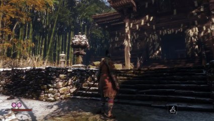 Sekiro Shadows Die Twice  How To Train And Improve Your Ski-lls