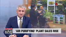 S. Korea's 'air purifying' plant sales rise 23 pct. on frequent bouts of air pollution