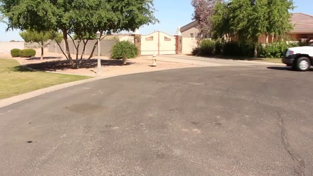 Magic Pest Control Scorpions and Cockroaches