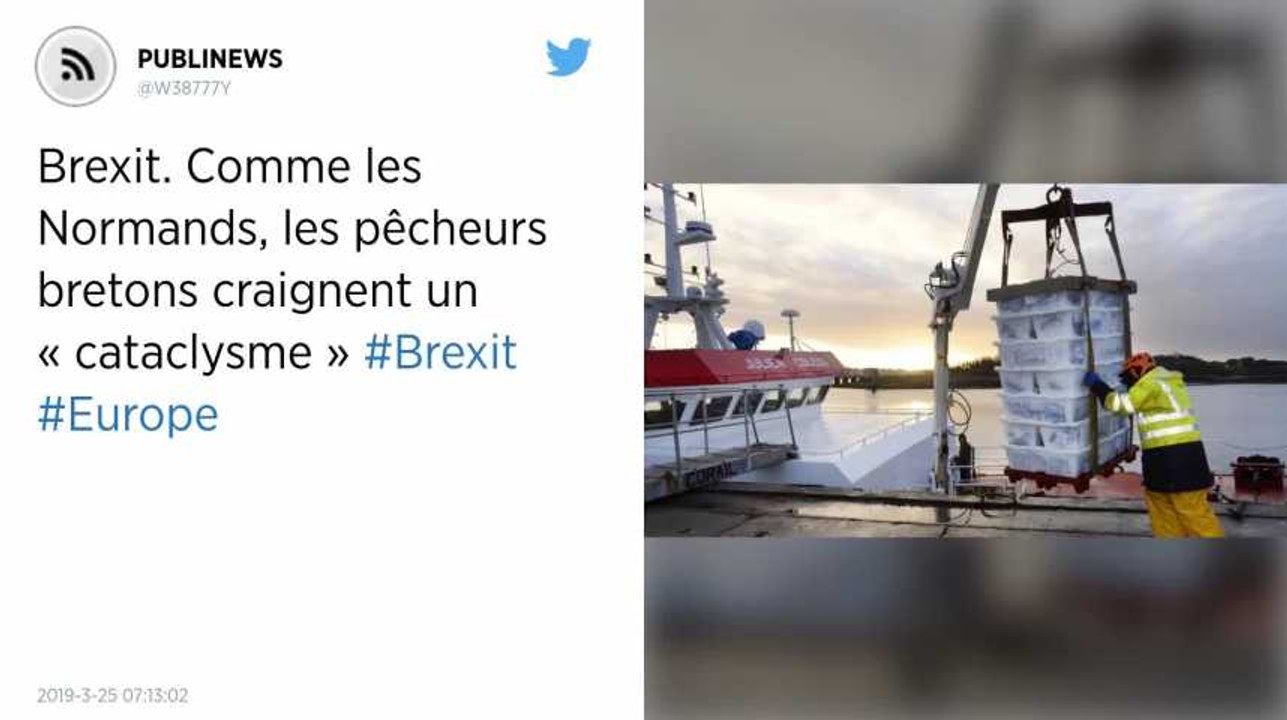 Brexit. Comme les Normands, les pêcheurs bretons craignent un « cataclysme »
