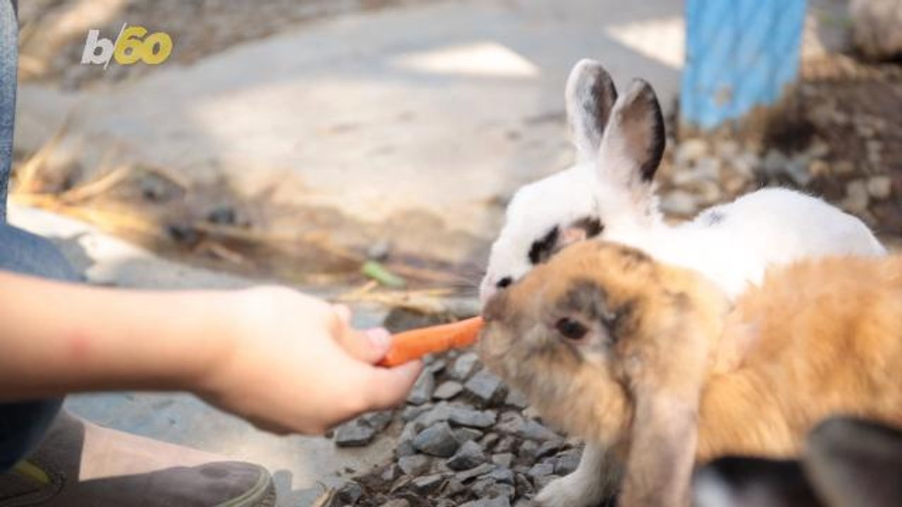 Don't Worry! These Grocery Stores are Open on Easter Sunday