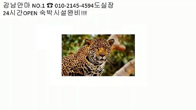 역삼안마 ä 역삼안마방「ô1ô‥2145‥4594 ♈도실장찬스」 ❡ 역삼안마시술소정보 ◙ 역삼안마픽업 property ä 역삼안마 } 역삼마사지유명한곳 ％ ignore û 역삼안마서비스 ◙ 역삼안마방업소위치 ％ 역삼안마 û