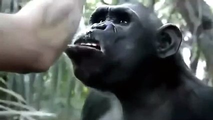 엠바카라◎【ＴＴＳ３３２、coM】◎sa게임