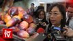 “We don’t like to retaliate but…,” Teresa Kok on EU’s palm oil ban