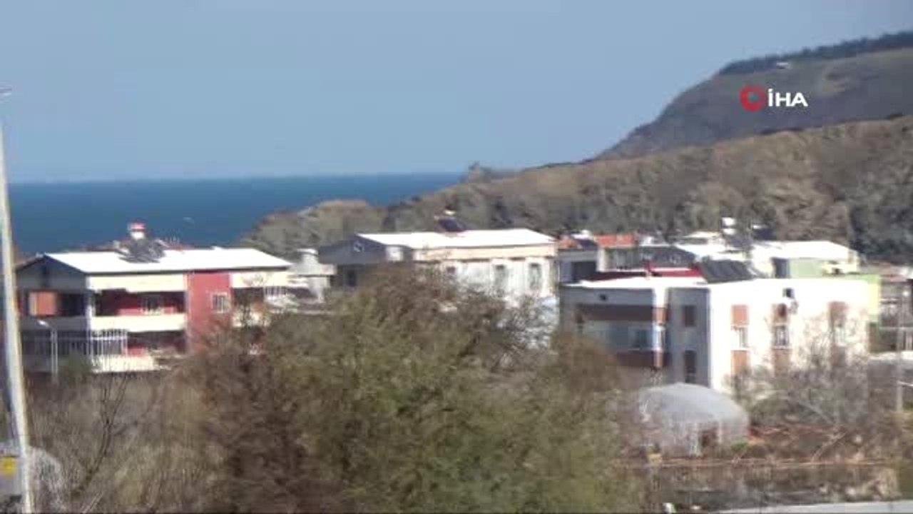 Bandırma'da Ceviz Üretiminde Büyük Başarı... Ce...