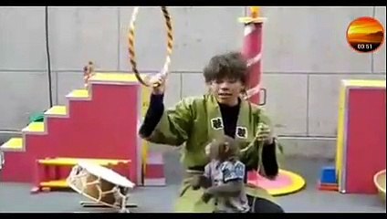 Topeng monyet cina