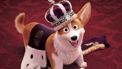 Bande Annonce du film ROYAL CORGI
