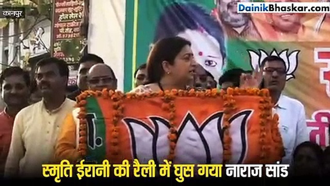 स्मृति ईरानी की सभा में गुस्साए सांड की एंट्री