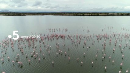 [BA] Échappées belles : Kenya, un rêve de safari - 30/03/2019