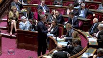 QAG - Philippe Mouiller : Francophonie - Quelles actions le Gouvernement conduit pour traduire les nombreux engagements annoncés ?