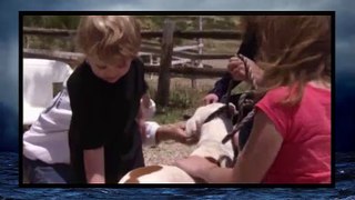 Pit Bulls And Parolees S02E05