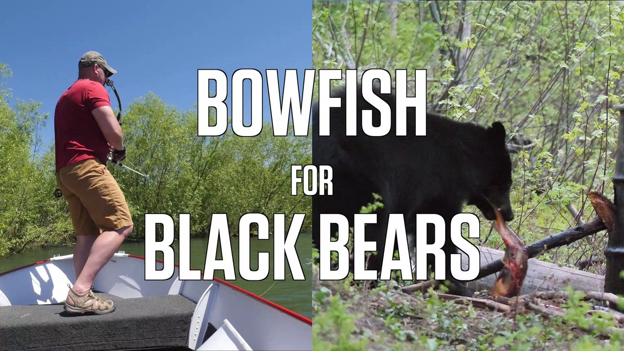 Bowfishing for Black Bears