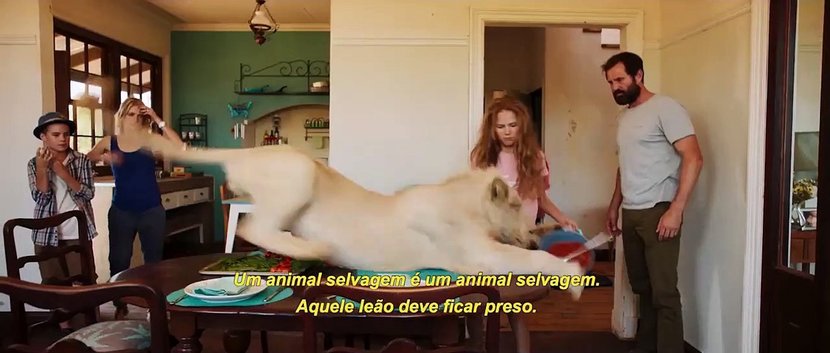 A Menina e o Leão  Filme