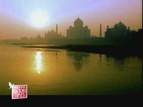 Are you ready to fall in love?