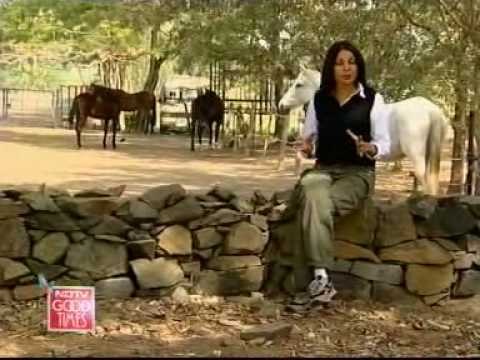 Some riding lessons for you