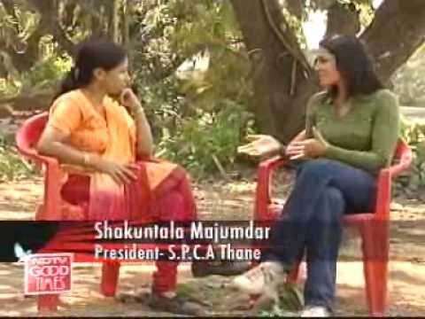 What a dog's life is all about!