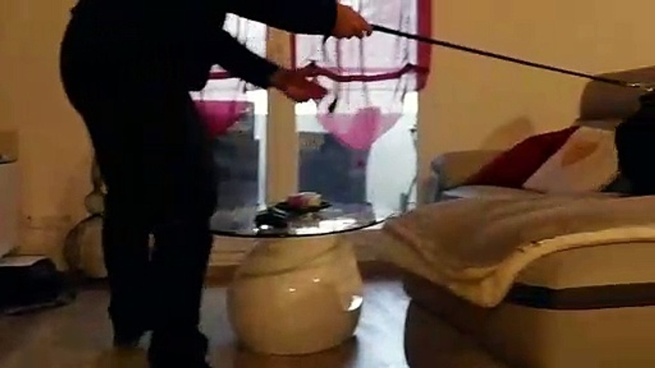 Nano, chien détective