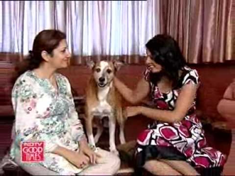 Compassionate towards the homeless pets
