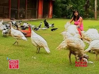 Let's do some bird watching