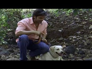 Training dogs to fight crime