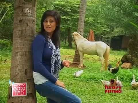 One stop spot for all your pet queries