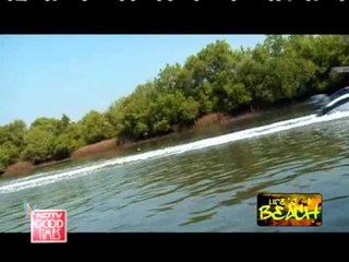 The mesmerising beaches of Goa