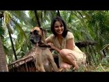 Vacationing with animals in Goa