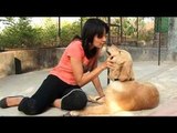 Seema re-visits the Pet sitters in Pune