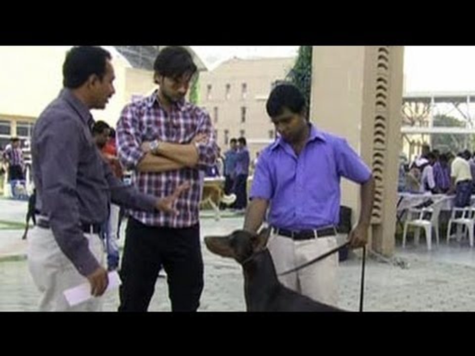 Cute doggies give Keith company in Hyderabad