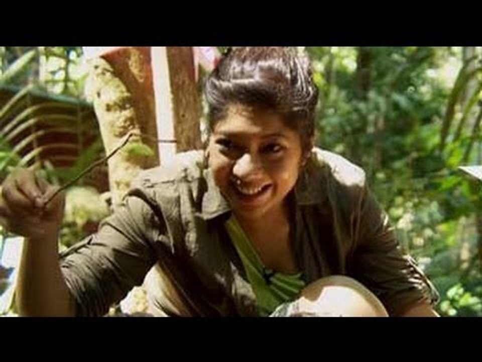 Neha's adventure in the wild jungles of Taman Negara