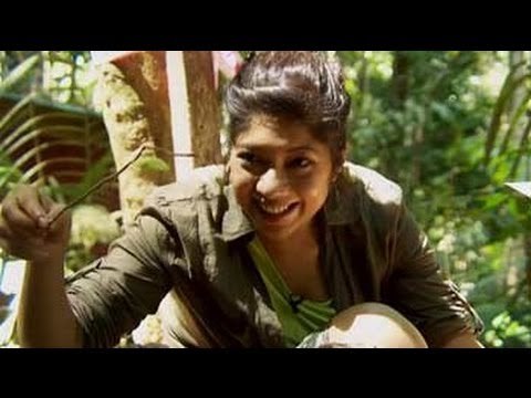 Neha's adventure in the wild jungles of Taman Negara