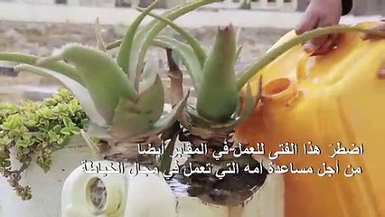 أطفال يعملون في مقابر لتوفير لقمة العيش في اليمن