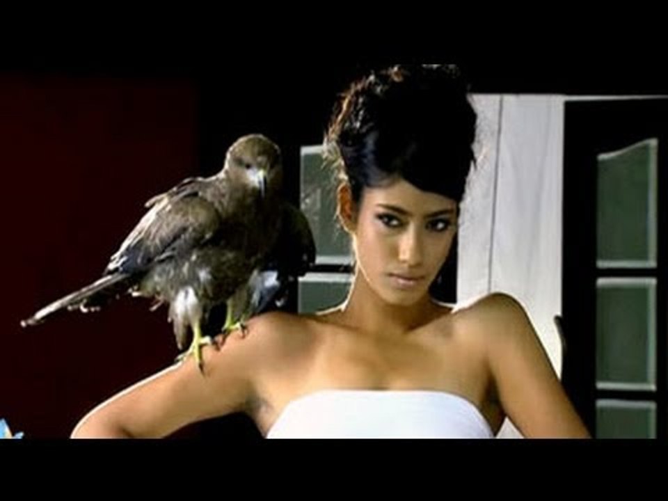 Hunt For The Kingfisher Calendar Girl 2013 Epis...