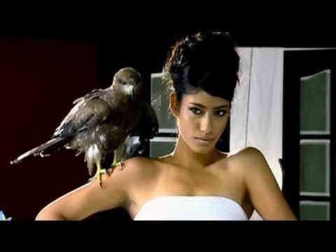 Hunt For The Kingfisher Calendar Girl 2013 Episode 3: Girls pose with their feathered friend