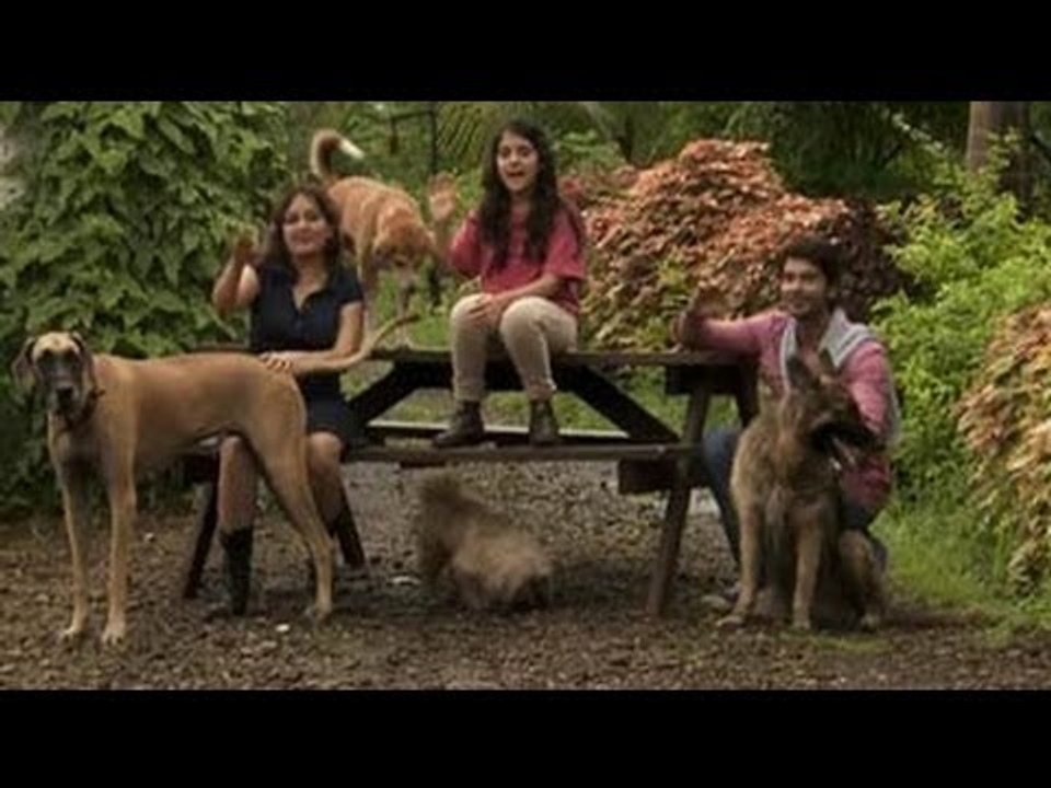 Heavy Petting with the Menons