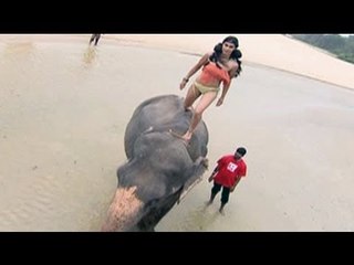 Hunt For The Kingfisher Calendar Girl 2013: Tribal beauties