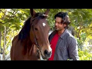 Bonding with the horses